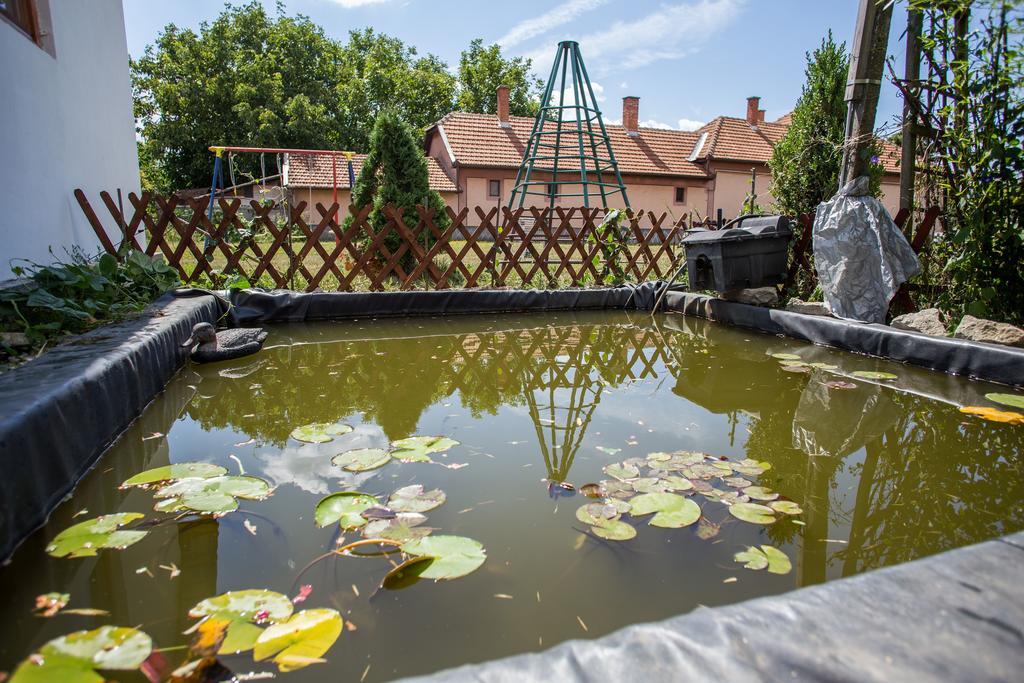 Apartment Rakoczi Vendeghaz Poroszlo